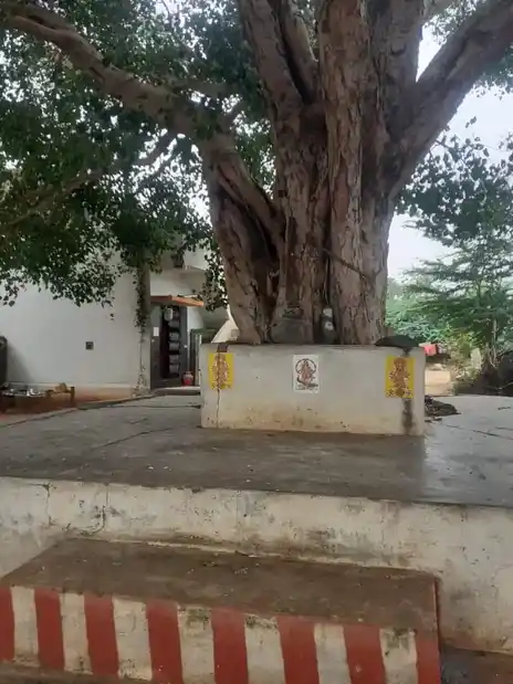 Arulmigu Veeragoundanpatti Vinayagar Temple, Veeragoundanpatti - 624706 அருள்மிகு வீரகவுண்டன்பட்டி விநாயகர் திருக்கோயில், Veeragoundanpatti - 624706, Dindigul - Ancient Temple Architecture and History Image 9