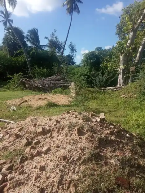 Arulmigu Veerama Kaliyamman Temple, Keluvathur - 614705 Arulmigu Veerama Kaliyamman Temple, Keluvathur - 614705, Thiruvarur - Ancient Temple Architecture and History Image 3