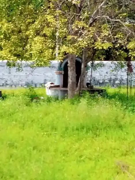 Arulmigu Veeramalai Karupuswamy Temple, Amayapuram - 621302