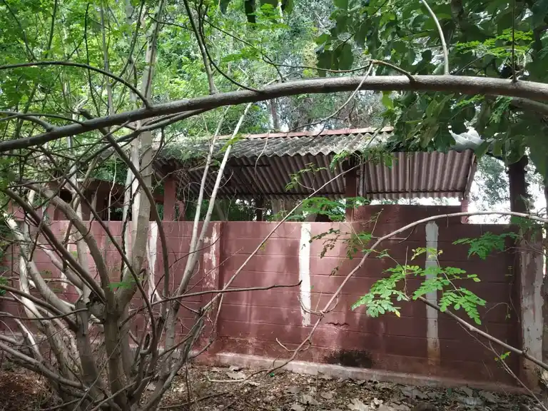 Arulmigu Veeramathiamman Temple, Vengiyampalayam - 638154 அருள்மிகு வீரமாத்தி திருக்கோயில், Vengiyampalayam - 638154, Erode - Ancient Temple Architecture and History Image 6