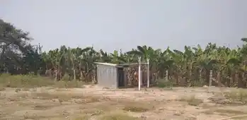 Arulmigu Veeramathiamman Temple, Vijayapuri, Vijayapuri - 638056 அருள்மிகு வீரமாத்தியம்மன் திருக்கோயில், விஜயபுரி, Vijayapuri - 638056, Erode - Ancient Temple Architecture and History Image 5