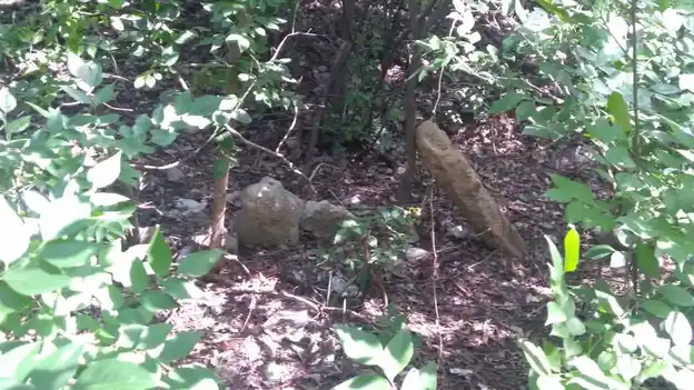 Arulmigu Veeramuthiriyar Temple, Rayampuram - 621714 Temple