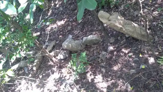 Arulmigu Veeramuthiriyar Temple, Rayampuram - 621714 Arulmigu Veeramuthiriyar Temple, இராயம்புரம் - 621714, Ariyalur - Ancient Temple Architecture and History Image 2