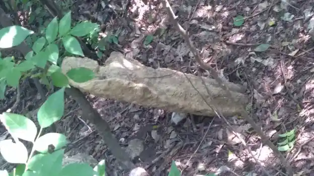 Arulmigu Veeramuthiriyar Temple, Rayampuram - 621714 Arulmigu Veeramuthiriyar Temple, இராயம்புரம் - 621714, Ariyalur - Ancient Temple Architecture and History Image 4