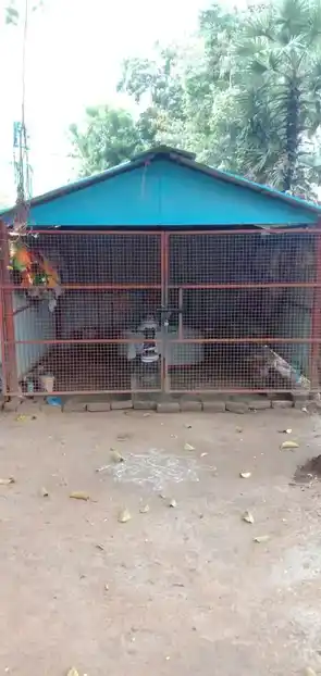 Arulmigu Veeran Karuppayirumbam Konda Ayyanar Temple, Thavarankudi - 614205 அருள்மிகு வீரன் என்கிற கரும்பாயிரம் கொண்ட அய்யனார் திருக்கோயில், Thavarankudi - 614205, Thanjavur - Ancient Temple Architecture and History Image 2