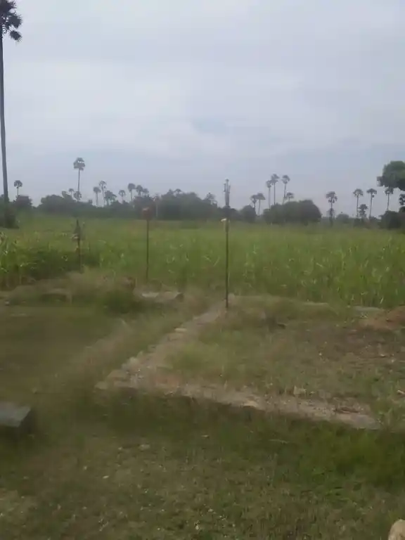 Arulmigu Veeran Temple, Vadakuvellli - 621010 Temple