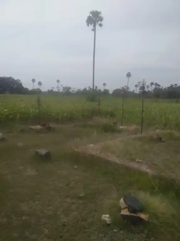 Arulmigu Veeran Temple, Vadakuvellli - 621010 Arulmigu Veeran Temple, Vadakuvellli - 621010, Thiruchirappalli - Ancient Temple Architecture and History Image 3