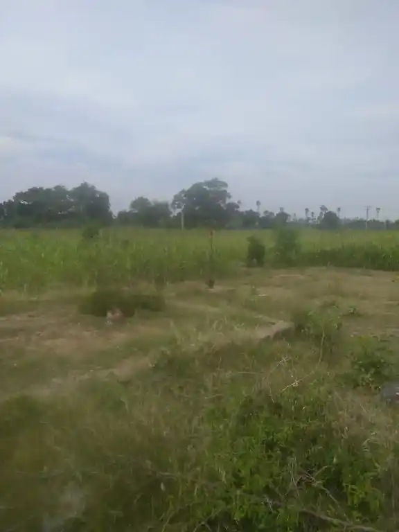 Arulmigu Veeran Temple, Vadakuvellli - 621010 Arulmigu Veeran Temple, Vadakuvellli - 621010, Thiruchirappalli - Ancient Temple Architecture and History Image 5