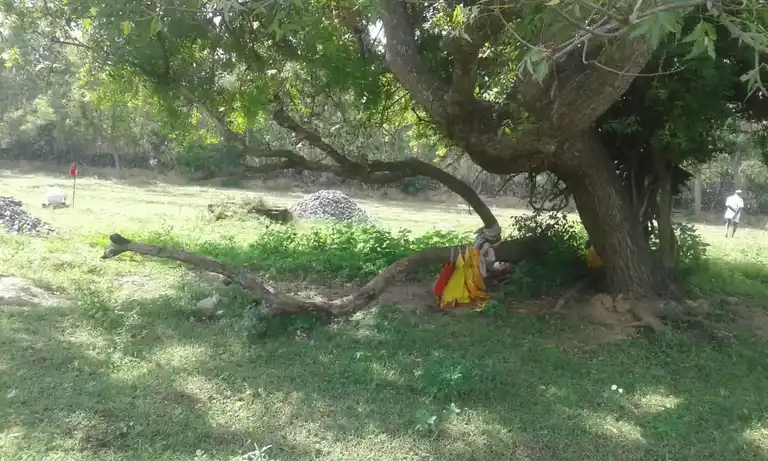 Arulmigu Veeranar Temple, Malankankudiyirupu - 621802 Temple
