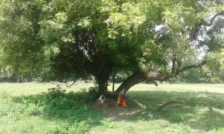 Arulmigu Veeranar Temple, Malankankudiyirupu - 621802 அருள்மிகு வீரனார் திருக்கோயில், மலங்கன்குடியிருப்பு - 621802, Ariyalur - Ancient Temple Architecture and History Image 2