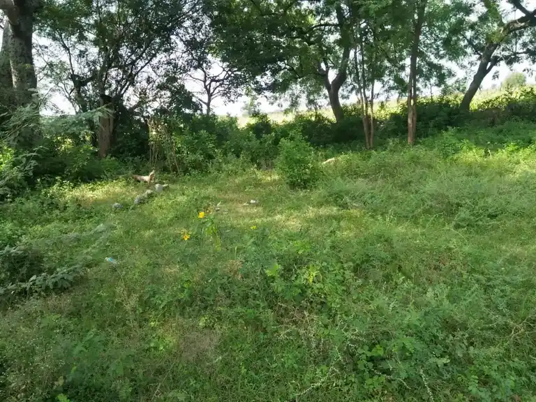 Arulmigu Veeranar Temple, Mullayur - 621730 Arulmigu Veeranar Temple, - 621730, Ariyalur - Ancient Temple Architecture and History Image 2