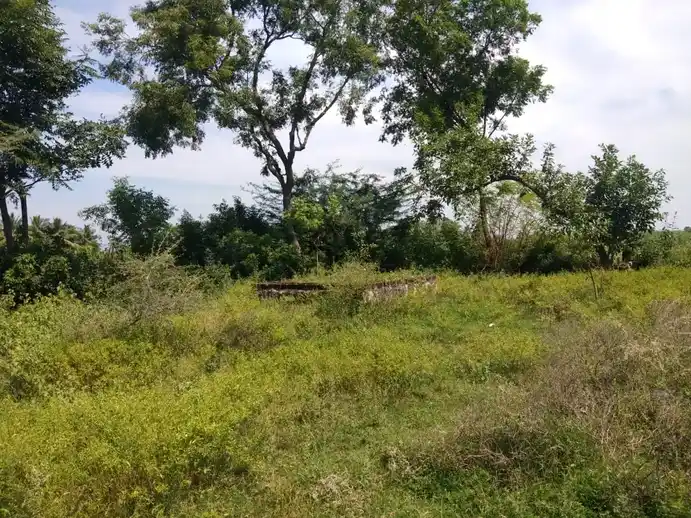 Arulmigu Veeranar Temple, Namankunam - 621714 Temple