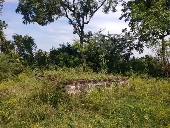Arulmigu Veeranar Temple, Namankunam - 621714 Arulmigu Veeranar Temple,  - 621714, Ariyalur - Ancient Temple Architecture and History Image 5
