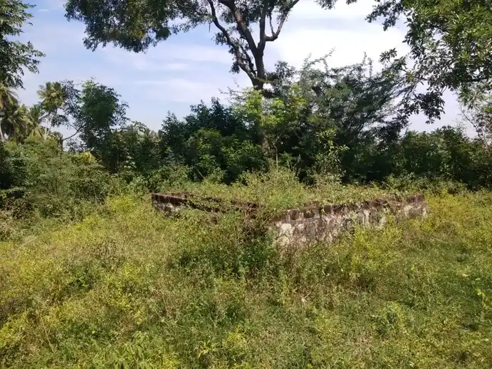 Arulmigu Veeranar Temple, Namankunam - 621714 Arulmigu Veeranar Temple,  - 621714, Ariyalur - Ancient Temple Architecture and History Image 7