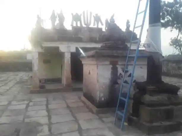 Arulmigu Veeranarayana Perumal Temple, Veppur - 621717 அருள்மிகு வீரநாராயப்பெருமாள் திருக்கோயில், Veppur - 621717, Perambalur - Ancient Temple Architecture and History Image 2