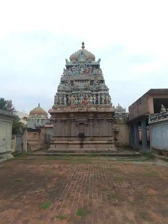 Arulmigu Veeranarayanaperumal Temple, Kattumannarkoil - 608301 அருள்மிகு வீரநாராயணப்பெருமாள் திருக்கோயில், காட்டுமன்னார்கோயில் - 608301, Cuddalore - Ancient Temple Architecture and History Image 2