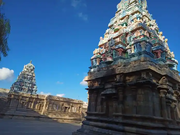 Arulmigu Veeranarayanaperumal Temple, Kuruvallapparkoil - 612901 Temple