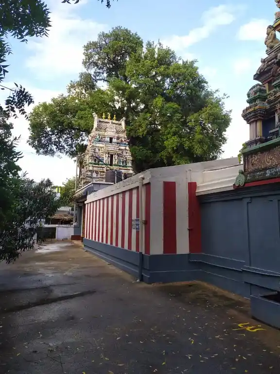 Arulmigu Veerapandiamman Temple, Melagaram - 627802 அருள்மிகு வீரபாண்டி அம்மன் திருக்கோயில், குடியிருப்பு - 627802, Tenkasi - Ancient Temple Architecture and History Image 2