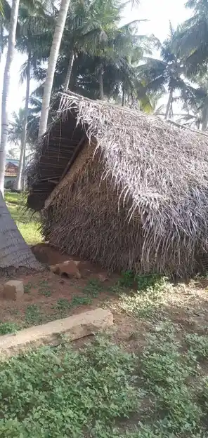 Arulmigu Veerapathirar Temple, Keeramangalam - 614624 அருள்மிகு வீரபத்ரர் திருக்கோயில், Keeramangalam - 614624, Pudukkottai - Ancient Temple Architecture and History Image 3