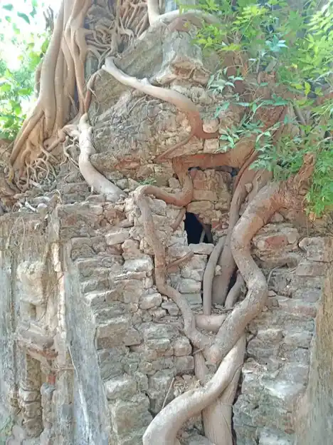 Arulmigu Veerapathiraswamy Temple, Koliyanur - 605103 அருள்மிகு வீரபத்ரசுவாமி திருக்கோயில், கோலியனூர் - 605103, Viluppuram - Ancient Temple Architecture and History Image 4