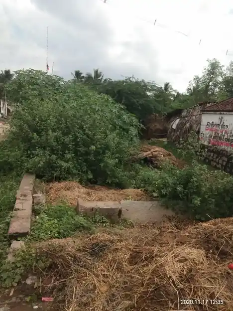 Arulmigu Veerapathiraswamy Temple, Thatchur - 632301 Temple