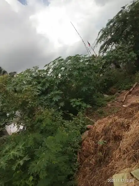 Arulmigu Veerapathiraswamy Temple, Thatchur - 632301 Arulmigu Veerapathiraswamy Temple, Thatchur - 632301, Tiruvannamalai - Ancient Temple Architecture and History Image 2