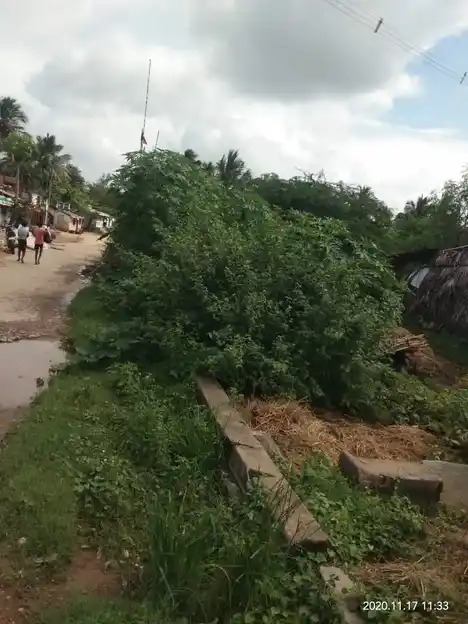 Arulmigu Veerapathiraswamy Temple, Thatchur - 632301 Arulmigu Veerapathiraswamy Temple, Thatchur - 632301, Tiruvannamalai - Ancient Temple Architecture and History Image 4