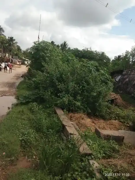 Arulmigu Veerapathiraswamy Temple, Thatchur - 632301 Arulmigu Veerapathiraswamy Temple, Thatchur - 632301, Tiruvannamalai - Ancient Temple Architecture and History Image 5