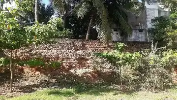 Arulmigu Veerapathrsamy Temple, Dharasuram - 612702 Arulmigu Veerapathrsamy Temple, தாராசுரம் - 612702, Thanjavur - Ancient Temple Architecture and History Image 11