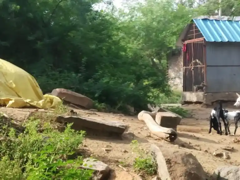 Arulmigu Veerapaththira Swamy Temple, Manjapuththur - 606208 அருள்மிகு வீரபத்திரசுவாமி திருக்கோயில், Manjapuththur - 606208, Kallakurichi - Ancient Temple Architecture and History Image 3