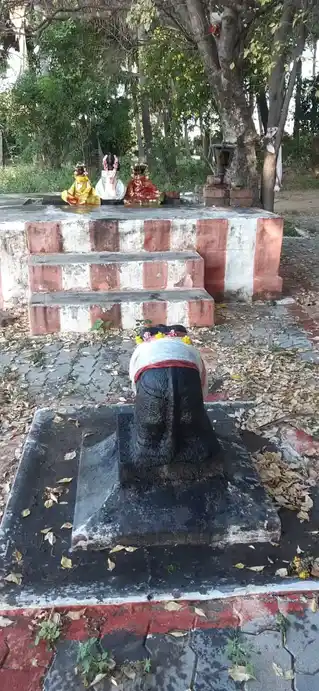 Arulmigu Veeraperumal Ayyanar Temple, Cuddalor - 627760