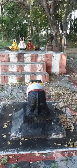 Arulmigu Veeraperumal Ayyanar Temple, Cuddalor - 627760 அருள்மிகு வீரப்பெருமாள் அய்யனார் திருக்கோயில், Cuddalor - 627760, Tenkasi - Ancient Temple Architecture and History Image 4