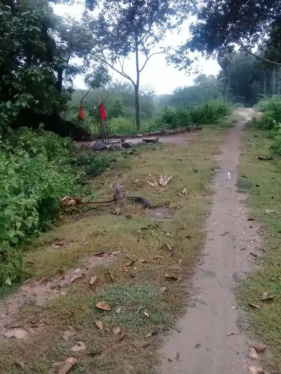 Arulmigu Veerappa Samy Temple, Minnamalaipatti, Minnamalaipatti - 630211 அருள்மிகு வீரப்பசுவாமி திருக்கோயில், Minnamalaipatti, Minnamalaipatti - 630211, Sivagangai - Ancient Temple Architecture and History Image 2