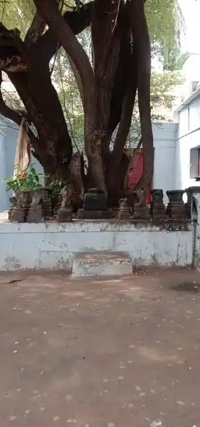 Arulmigu Veeraputhiraswamy Temple, Ariyanayagiyapuram, Ariyanayagiyapuram - 627603