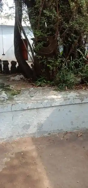 Arulmigu Veeraputhiraswamy Temple, Ariyanayagiyapuram, Ariyanayagiyapuram - 627603 அருள்மிகு வீரபுத்திரசுவாமி திருக்கோயில், அாியநாயகிபுரம், அாியநாயகிபுரம் - 627603, Tirunelveli - Ancient Temple Architecture and History Image 2