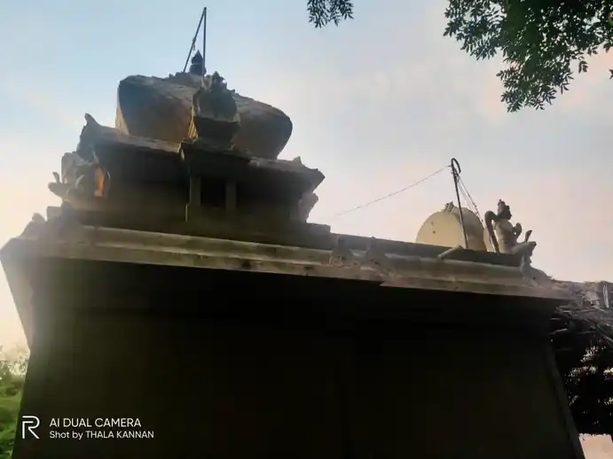 Arulmigu Veeraragava Perumal Temple, Vadamur - 608302 அருள்மிகு வீரராகவப்பெருமாள் திருக்கோயில், Vadamur - 608302, Cuddalore - Ancient Temple Architecture and History Image 2