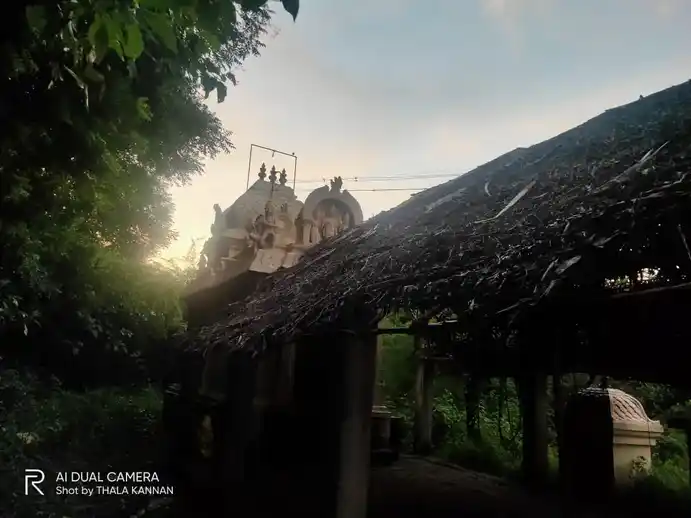 Arulmigu Veeraragava Perumal Temple, Vadamur - 608302 அருள்மிகு வீரராகவப்பெருமாள் திருக்கோயில், Vadamur - 608302, Cuddalore - Ancient Temple Architecture and History Image 9