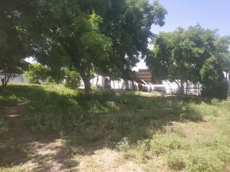 Arulmigu Veerarkal Temple, Kalappanpatti - 625529 அருள்மிகு வீரர்கள் திருக்கோயில், Kalappanpatti - 625529, Madurai - Ancient Temple Architecture and History Image 2