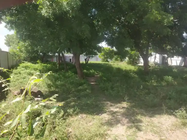 Arulmigu Veerarkal Temple, Kalappanpatti - 625529 அருள்மிகு வீரர்கள் திருக்கோயில், Kalappanpatti - 625529, Madurai - Ancient Temple Architecture and History Image 3