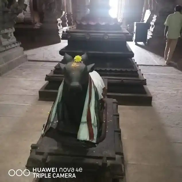 Arulmigu Veerasekara Uamaiyampigai Temple, Sakkottai - 630108 அருள்மிகுவீரசேகரஉமையாம்பிகை திருக்கோயில், Sakkottai - 630108, Sivagangai - Ancient Temple Architecture and History Image 4