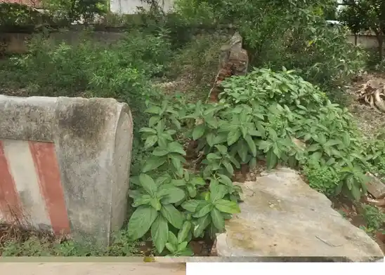 Arulmigu Veerateswarar Temple, Vazhuvur - 609401 அருள்மிகு வீரட்டேஸ்வரர் சுவாமி திருக்கோயில், வழுவூர் - 609401, Mayiladuthurai - Ancient Temple Architecture and History Image 7