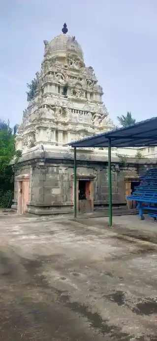 Arulmigu Veeravanathar Temple, Kinar - 603303 அருள்மிகு வீரவரநாதஸ்வாமி திருக்கோயில், கிணார் - 603303, Chengalpattu - Ancient Temple Architecture and History Image 4