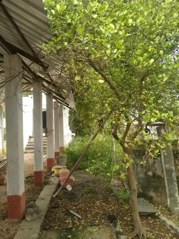 Arulmigu Veeravar Temple, Ariyur, Vellore - 632055 அருள்மிகு வீரவர் திருக்கோயில், அரியூர், வேலூர் - 632055, Vellore - Ancient Temple Architecture and History Image 2