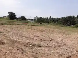 Arulmigu Veereswarasami Temple, Othakalmandapam - 641032 அருள்மிகு வீரேஸ்வரசாமி திருக்கோயில், ஒத்தக்கால்மண்டபம் - 641032, Coimbatore - Ancient Temple Architecture and History Image 3