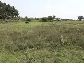 Arulmigu Veereswarasami Temple, Othakalmandapam - 641032 அருள்மிகு வீரேஸ்வரசாமி திருக்கோயில், ஒத்தக்கால்மண்டபம் - 641032, Coimbatore - Ancient Temple Architecture and History Image 4