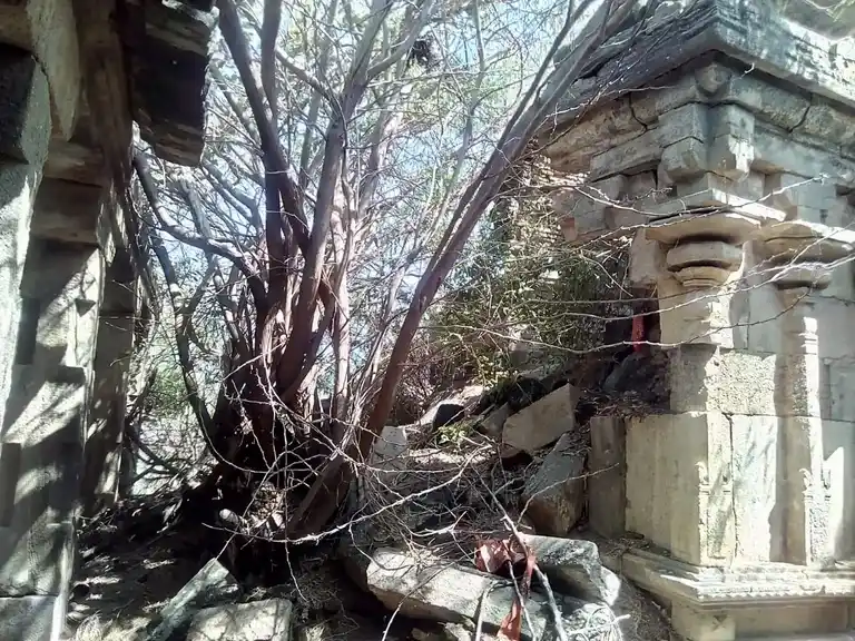 Arulmigu Veettruntha Perumal Temple, Rettaiyalam - 614621 அருள்மிகு வீற்றிருந்த பெருமாள் திருக்கோயில், Rettaiyalam - 614621, Pudukkottai - Ancient Temple Architecture and History Image 4