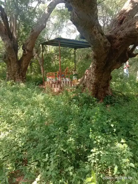Arulmigu Veladi Pannai Ayyanaar Temple, Lingavadi - 624401