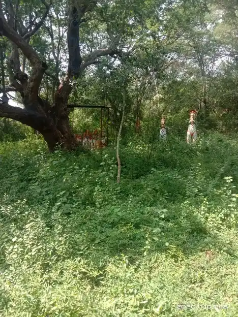 Arulmigu Veladi Pannai Ayyanaar Temple, Lingavadi - 624401 அருள்மிகு வேலடி பண்ணை அய்யனார் திருக்கோயில், Lingavadi - 624401, Dindigul - Ancient Temple Architecture and History Image 3