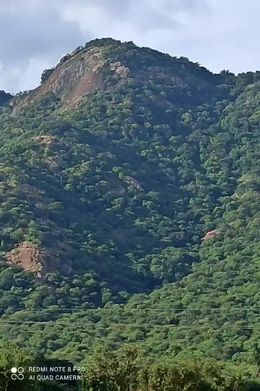 Arulmigu Velamalai Kannimar Temple, Lingampatti - 621310 Arulmigu Velamalai Kannimar Temple, Lingampatti - 621310, Thiruchirappalli - Ancient Temple Architecture and History Image 2