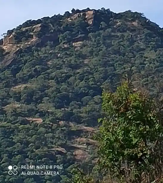 Arulmigu Velamalai Kannimar Temple, Lingampatti - 621310 Arulmigu Velamalai Kannimar Temple, Lingampatti - 621310, Thiruchirappalli - Ancient Temple Architecture and History Image 3